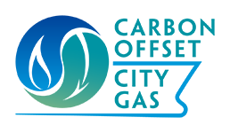 CARBON OFFSET CITY GAS