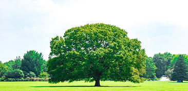 レスポンシブル・ケア活動